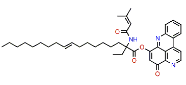 Cystodytin H